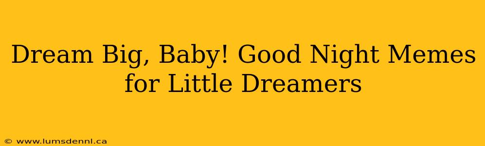 Dream Big, Baby! Good Night Memes for Little Dreamers