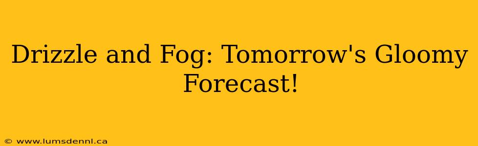 Drizzle and Fog: Tomorrow's Gloomy Forecast!