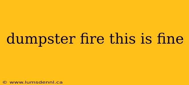 dumpster fire this is fine