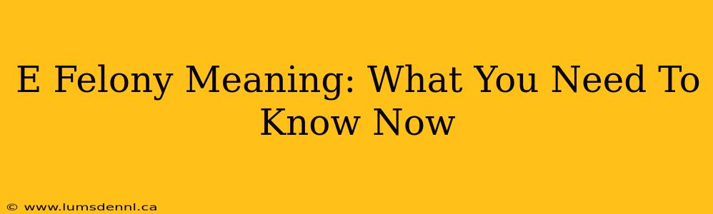 E Felony Meaning: What You Need To Know Now