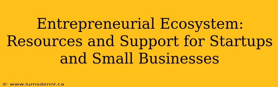 Entrepreneurial Ecosystem: Resources and Support for Startups and Small Businesses
