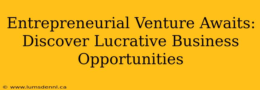 Entrepreneurial Venture Awaits: Discover Lucrative Business Opportunities