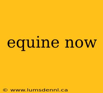 equine now