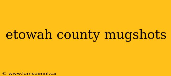 etowah county mugshots