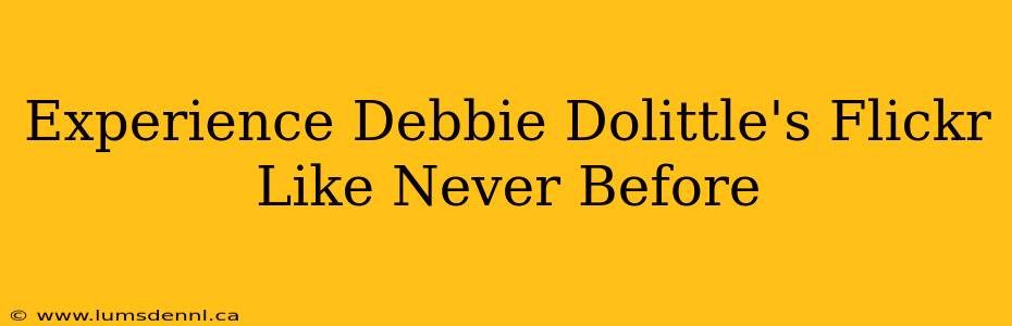 Experience Debbie Dolittle's Flickr Like Never Before