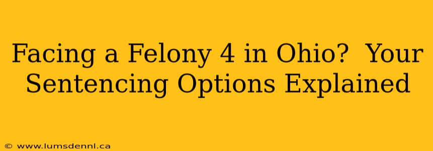 Facing a Felony 4 in Ohio?  Your Sentencing Options Explained