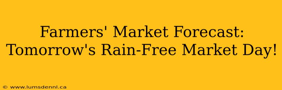 Farmers' Market Forecast: Tomorrow's Rain-Free Market Day!