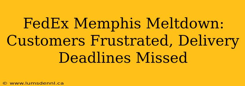 FedEx Memphis Meltdown: Customers Frustrated, Delivery Deadlines Missed