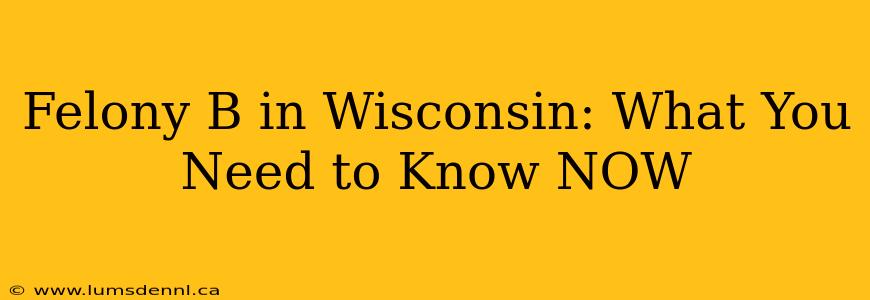 Felony B in Wisconsin: What You Need to Know NOW