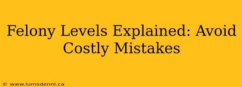 Felony Levels Explained: Avoid Costly Mistakes