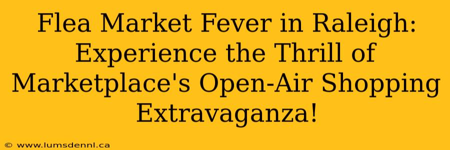 Flea Market Fever in Raleigh: Experience the Thrill of Marketplace's Open-Air Shopping Extravaganza!