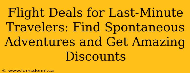 Flight Deals for Last-Minute Travelers: Find Spontaneous Adventures and Get Amazing Discounts