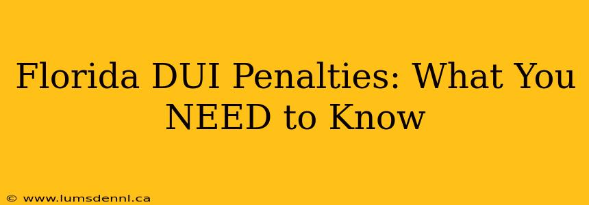 Florida DUI Penalties: What You NEED to Know