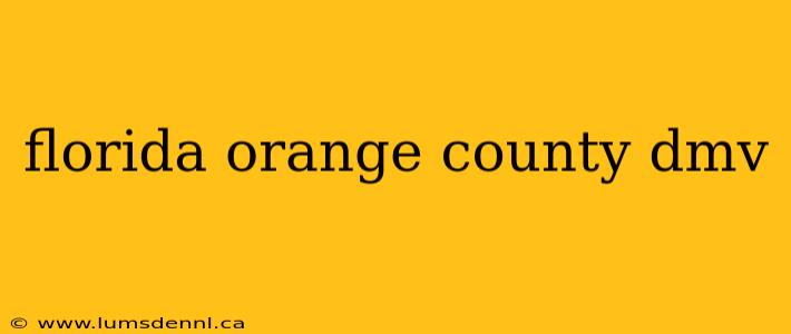 florida orange county dmv