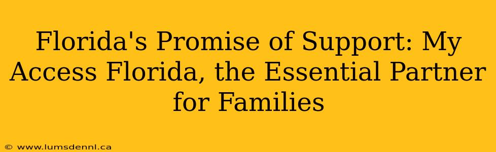 Florida's Promise of Support: My Access Florida, the Essential Partner for Families