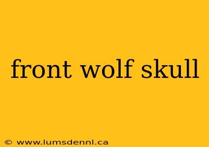 front wolf skull