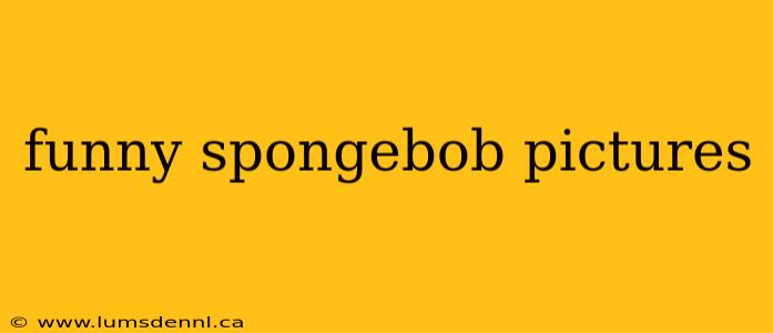 funny spongebob pictures