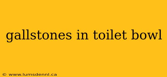 gallstones in toilet bowl