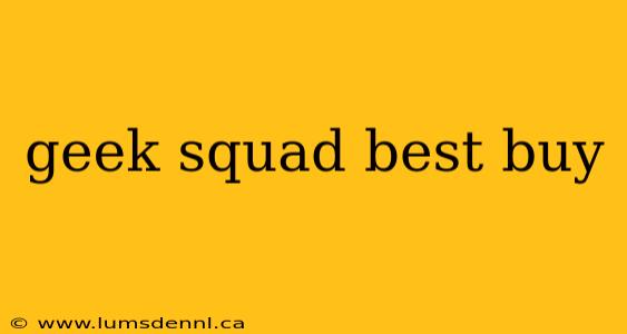 geek squad best buy