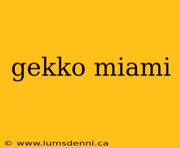 gekko miami