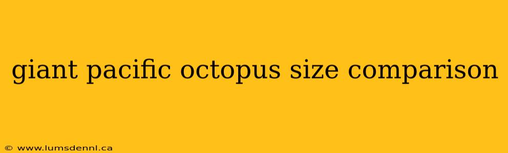 giant pacific octopus size comparison