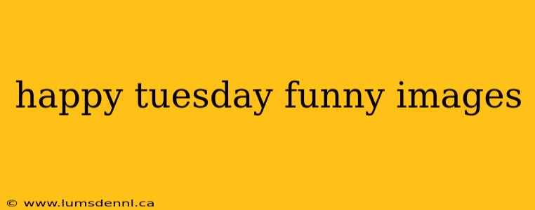 happy tuesday funny images