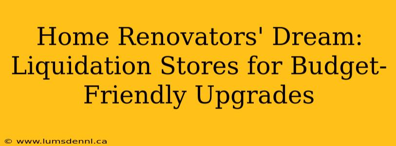 Home Renovators' Dream: Liquidation Stores for Budget-Friendly Upgrades