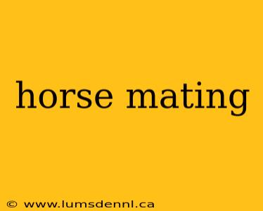 horse mating