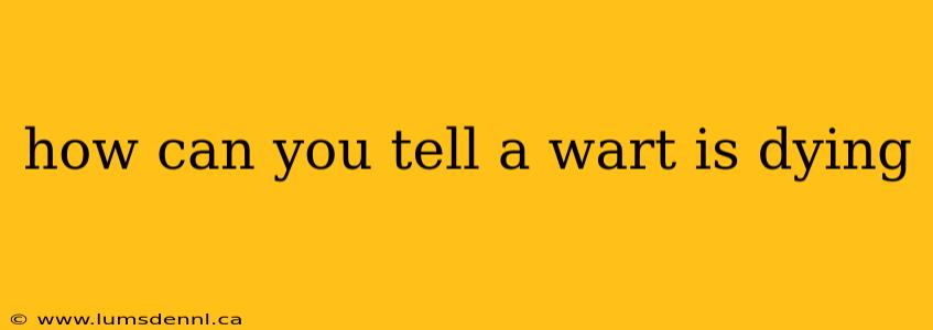 how can you tell a wart is dying