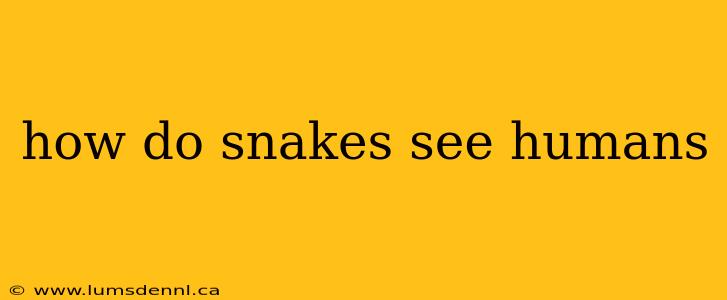 how do snakes see humans