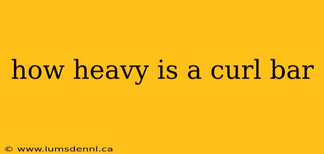how heavy is a curl bar