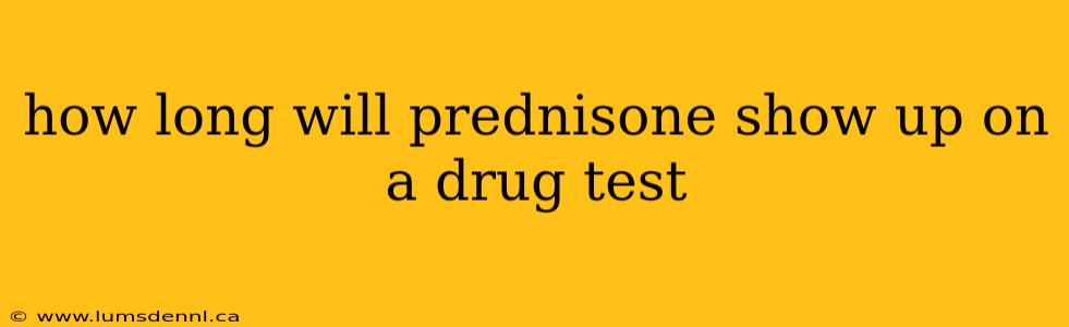 how long will prednisone show up on a drug test