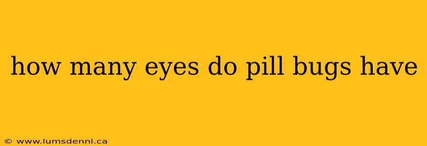how many eyes do pill bugs have
