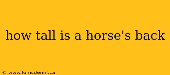 how tall is a horse's back