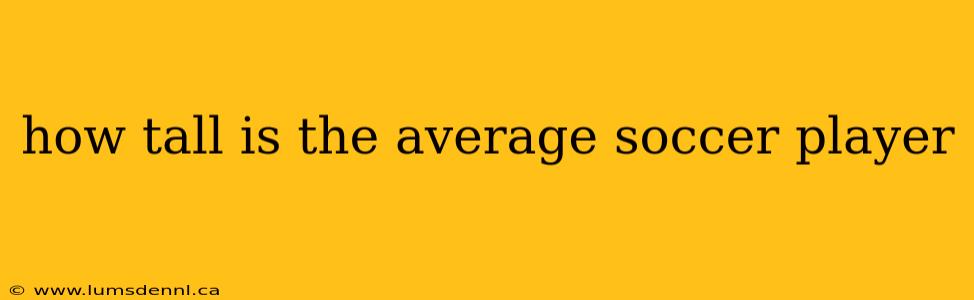 how tall is the average soccer player