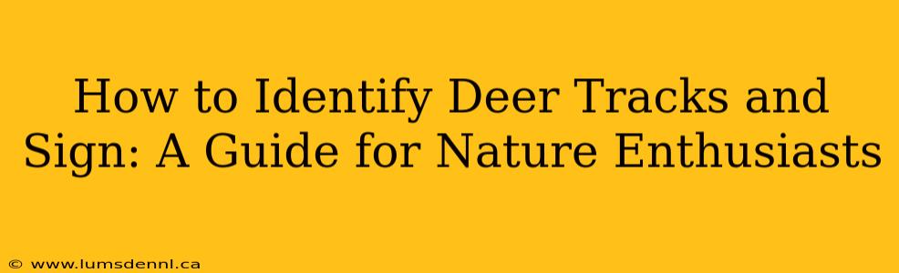 How to Identify Deer Tracks and Sign: A Guide for Nature Enthusiasts