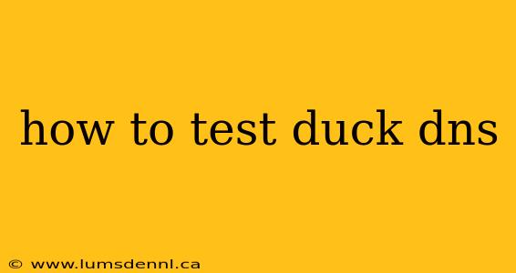 how to test duck dns