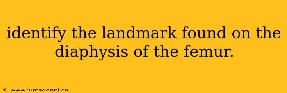 identify the landmark found on the diaphysis of the femur.