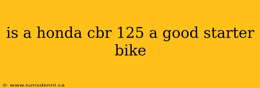 is a honda cbr 125 a good starter bike