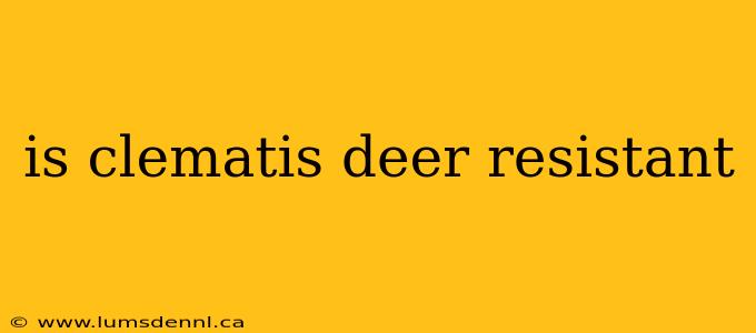 is clematis deer resistant