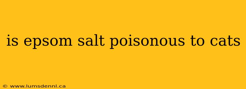 is epsom salt poisonous to cats
