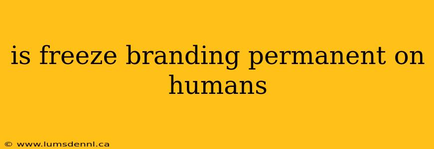 is freeze branding permanent on humans