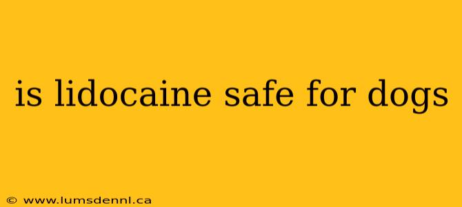 is lidocaine safe for dogs