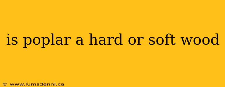 is poplar a hard or soft wood