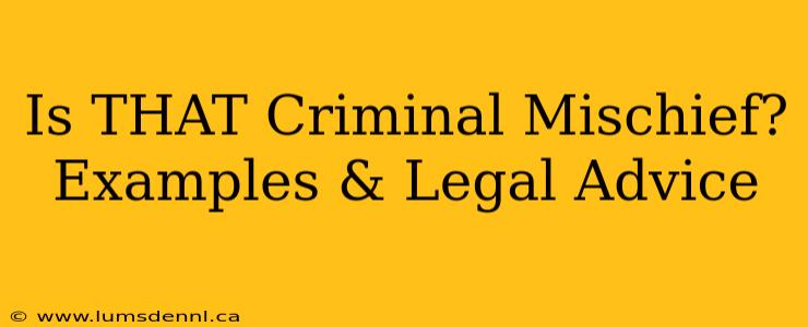 Is THAT Criminal Mischief?  Examples & Legal Advice