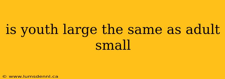 is youth large the same as adult small