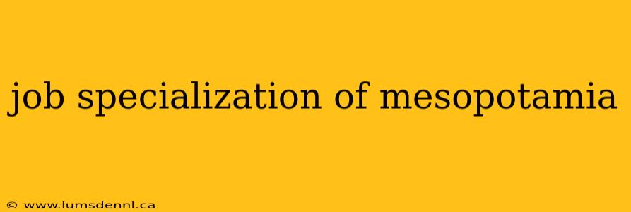 job specialization of mesopotamia
