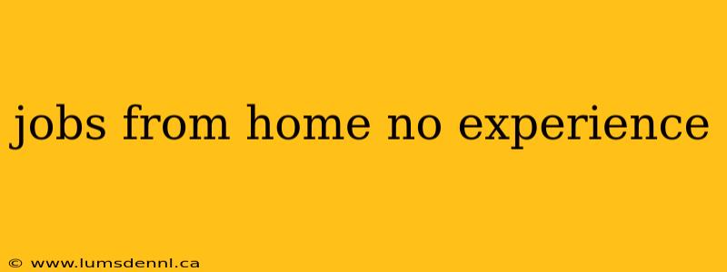 jobs from home no experience