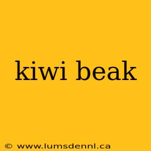 kiwi beak