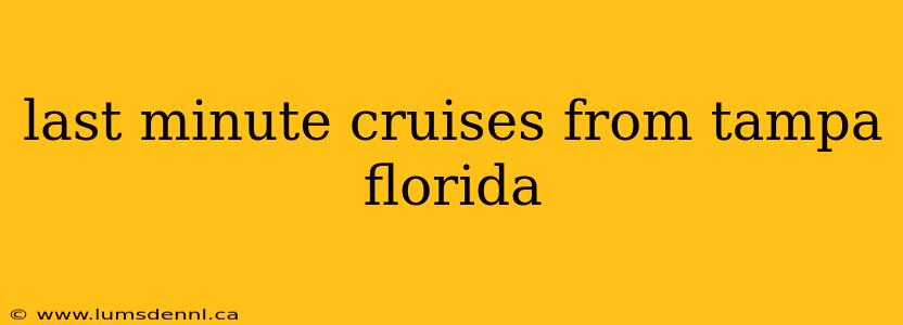 last minute cruises from tampa florida